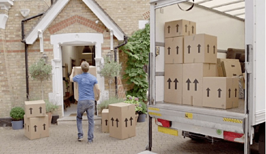 professional movers